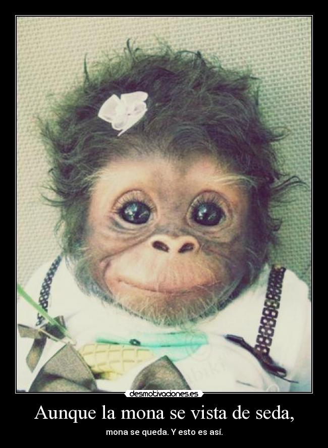 carteles moneria desmotivaciones