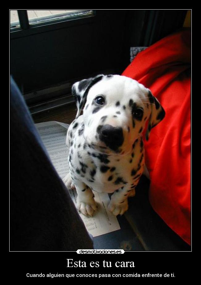 Esta es tu cara - Cuando alguien que conoces pasa con comida enfrente de ti.