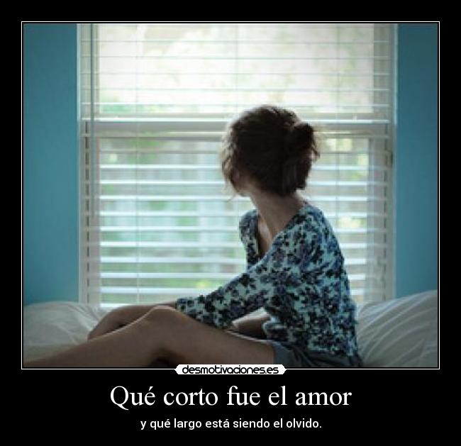 Qué corto fue el amor - 