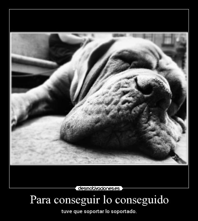 Para conseguir lo conseguido - tuve que soportar lo soportado.