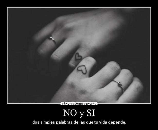 NO y SI - 