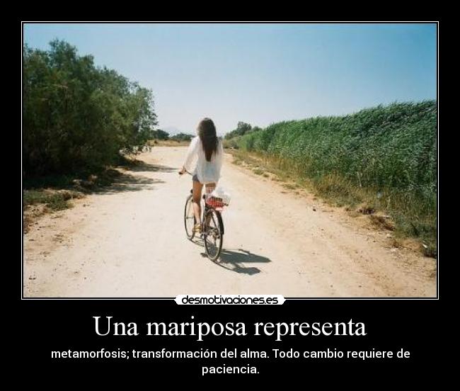 Una mariposa representa -