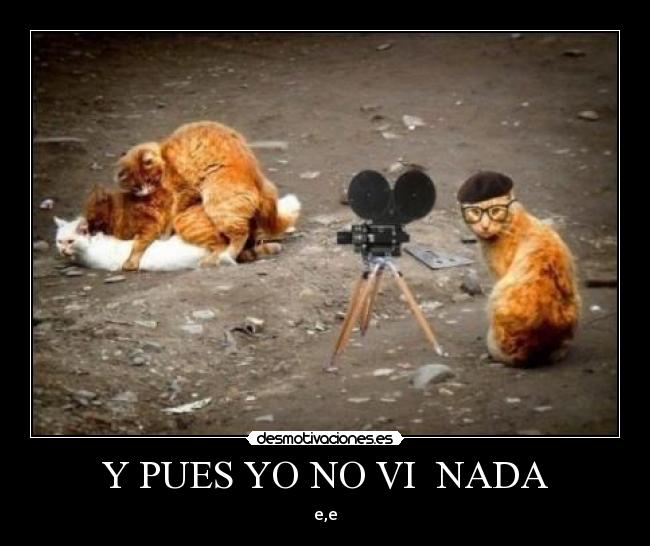 Y PUES YO NO VI NADA - e,e