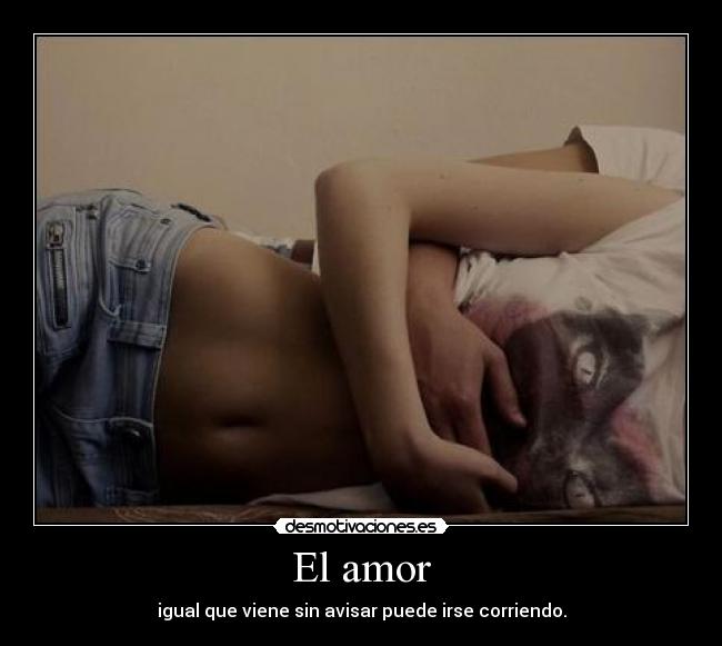 El amor - 