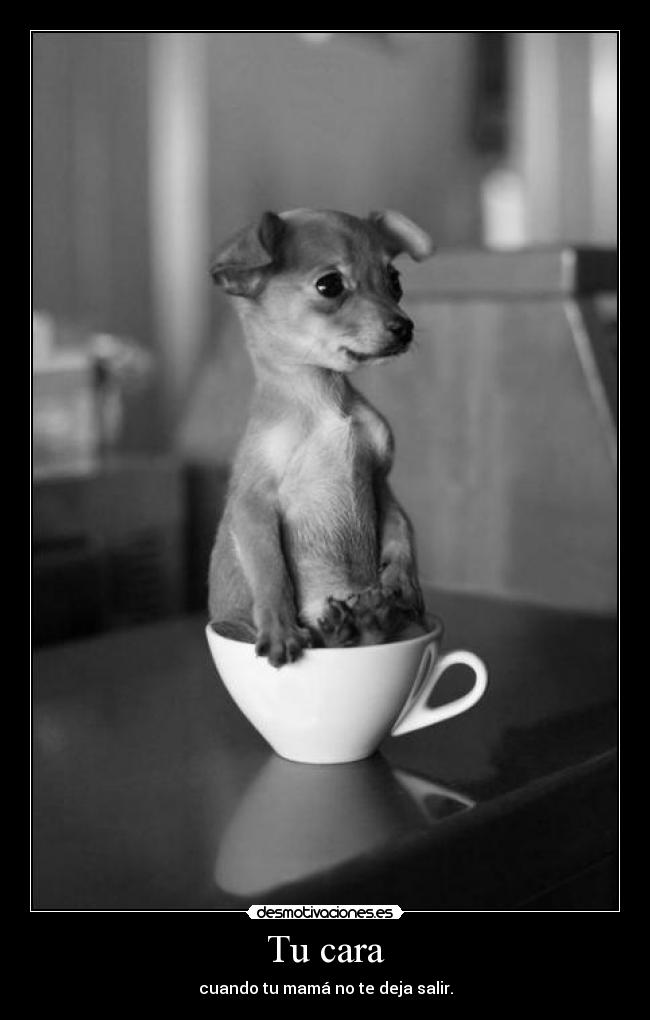 Tu cara - cuando tu mamá no te deja salir.