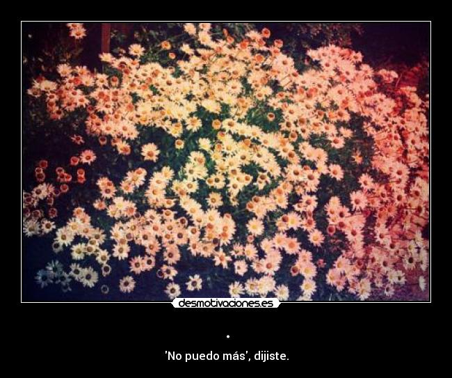 . - No puedo más, dijiste.