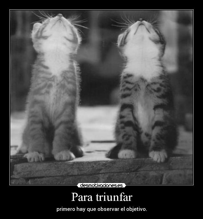 Para triunfar - primero hay que observar el objetivo.