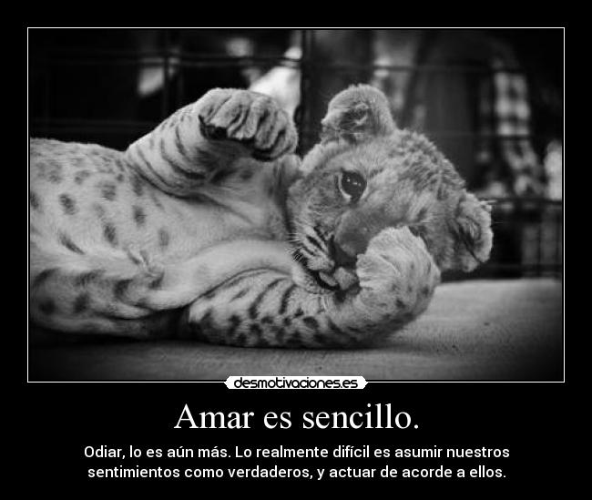 carteles dimidium mortuus imagen relacionada pero que tan lindooo desmotivaciones