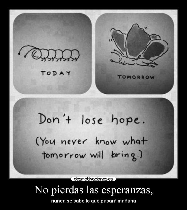 No pierdas las esperanzas, -
