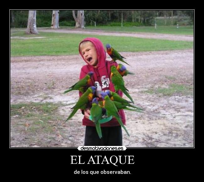 EL ATAQUE - de los que observaban.