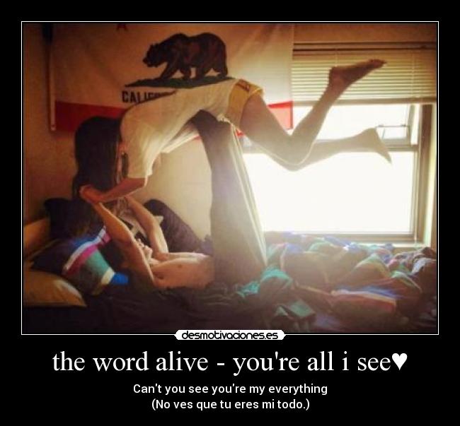 carteles amor amo todo eres desmotivaciones