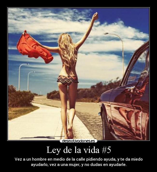 Ley de la vida #5 - 