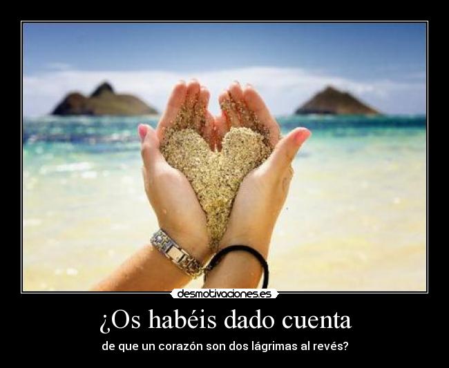 ¿Os habéis dado cuenta - 