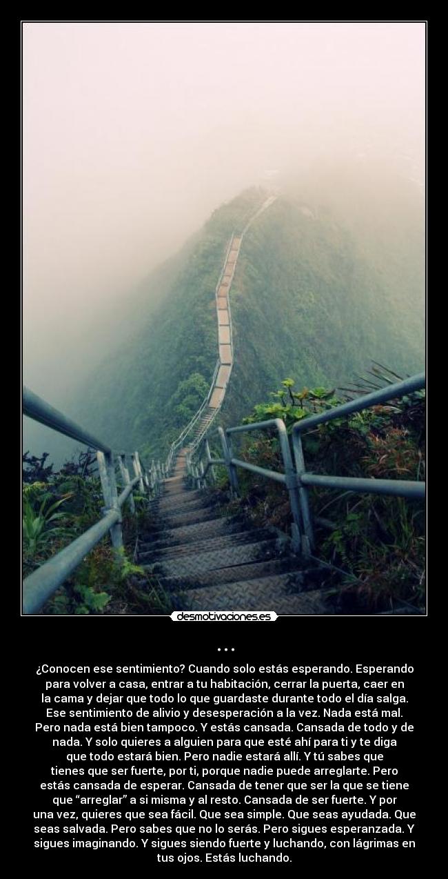 ... - ¿Conocen ese sentimiento? Cuando solo estás esperando. Esperando
para volver a casa, entrar a tu habitación, cerrar la puerta, caer en
la cama y dejar que todo lo que guardaste durante todo el día salga.
Ese sentimiento de alivio y desesperación a la vez. Nada está mal.
Pero nada está bien tampoco. Y estás cansada. Cansada de todo y de
nada. Y solo quieres a alguien para que esté ahí para ti y te diga
que todo estará bien. Pero nadie estará allí. Y tú sabes que
tienes que ser fuerte, por ti, porque nadie puede arreglarte. Pero
estás cansada de esperar. Cansada de tener que ser la que se tiene
que “arreglar” a si misma y al resto. Cansada de ser fuerte. Y por
una vez, quieres que sea fácil. Que sea simple. Que seas ayudada. Que
seas salvada. Pero sabes que no lo serás. Pero sigues esperanzada. Y
sigues imaginando. Y sigues siendo fuerte y luchando, con lágrimas en
tus ojos. Estás luchando.