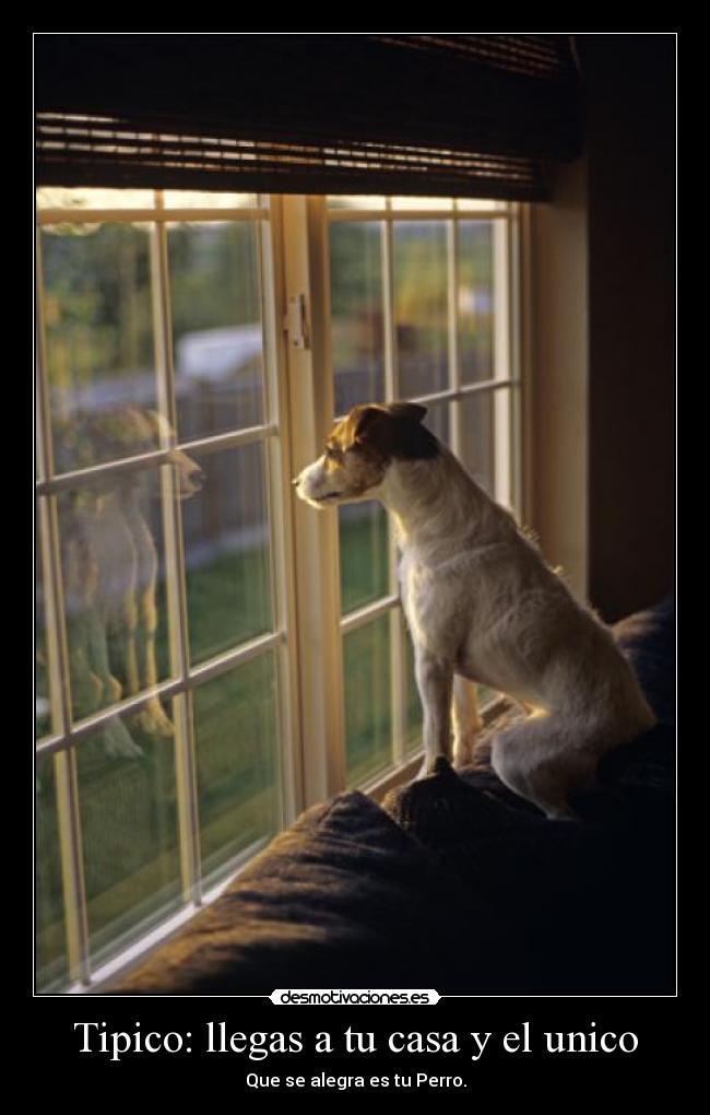 Tipico: llegas a tu casa y el unico -
