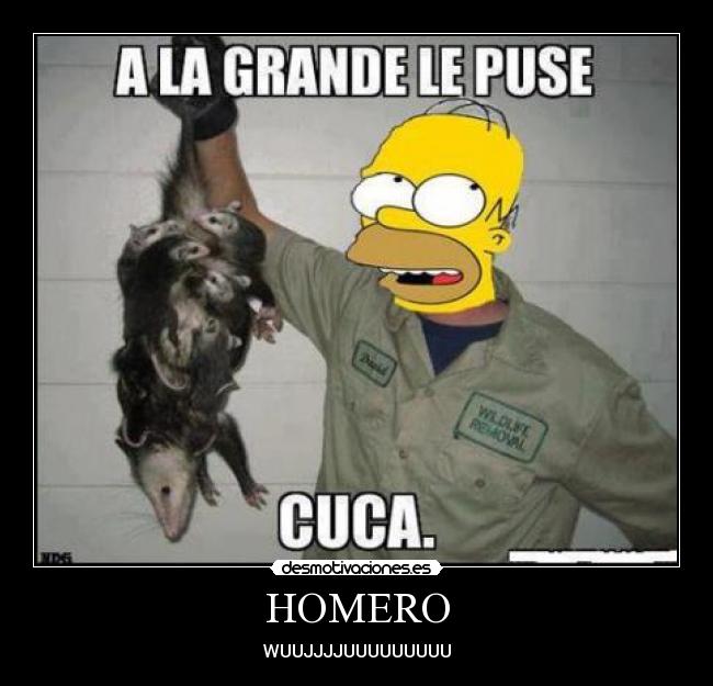 HOMERO - WUUJJJJUUUUUUUUU