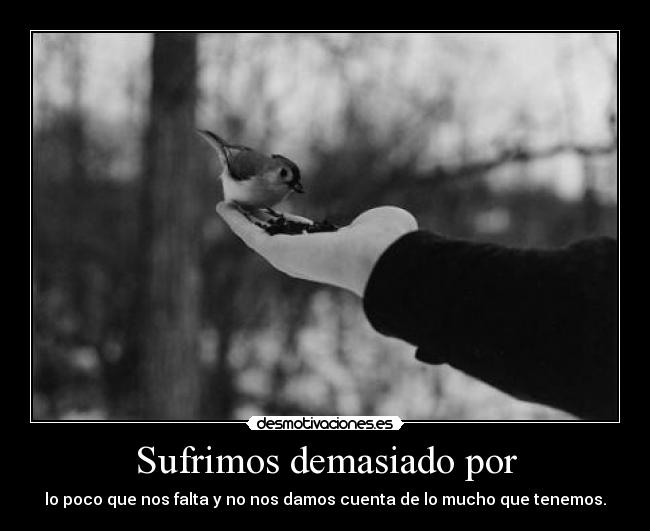 Sufrimos demasiado por - 