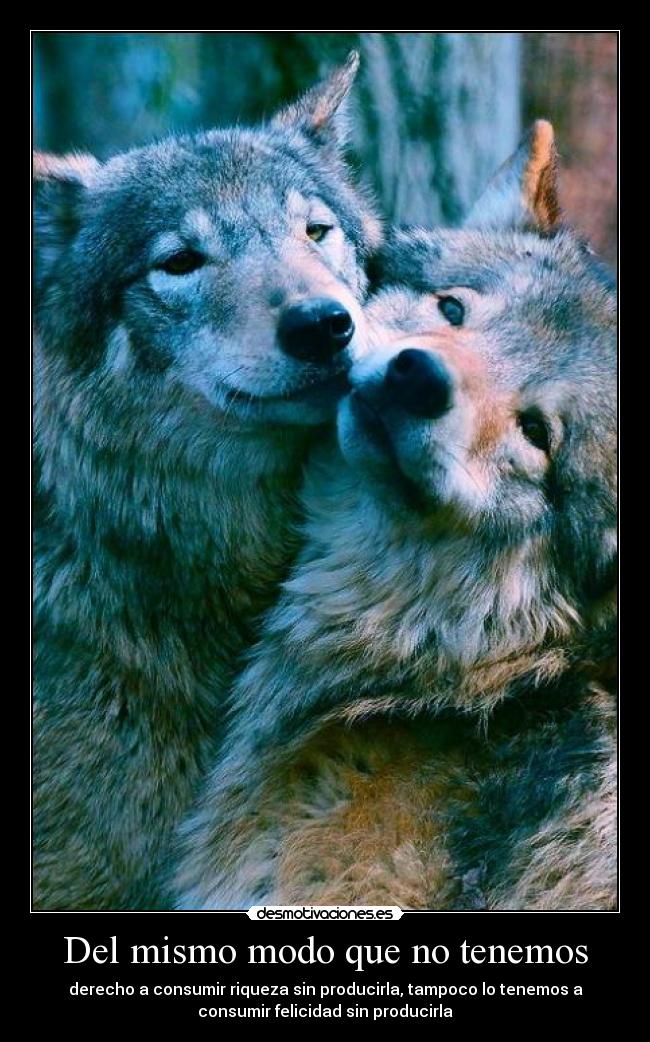 Del mismo modo que no tenemos - 