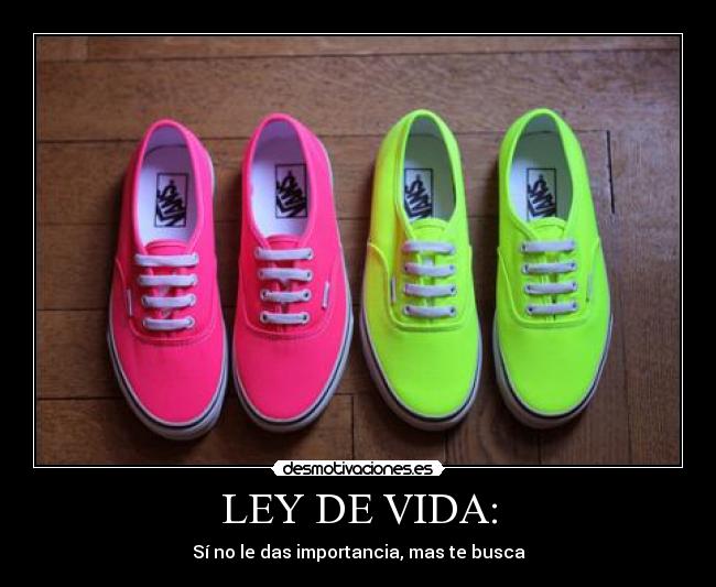 LEY DE VIDA: - Sí no le das importancia, mas te busca