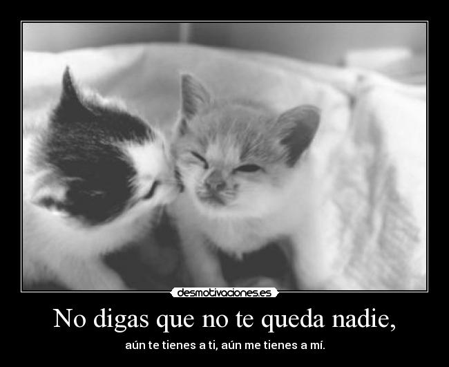 No digas que no te queda nadie, - aún te tienes a ti, aún me tienes a mí.