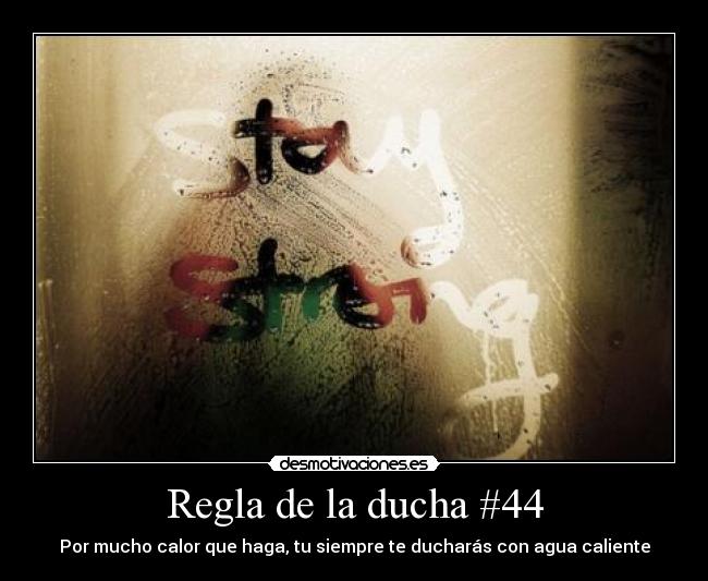 Regla de la ducha #44 - 