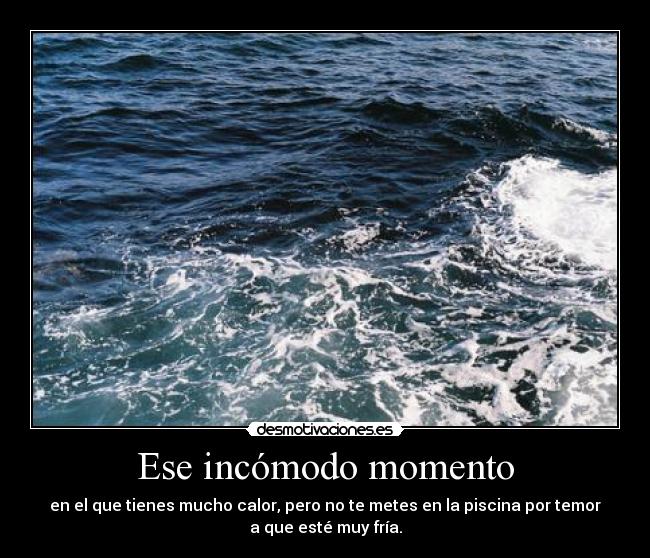 carteles piscina summer verano wuejeeeeeeeeeeeeeeeeeeeeeeeeeeeee desmotivaciones