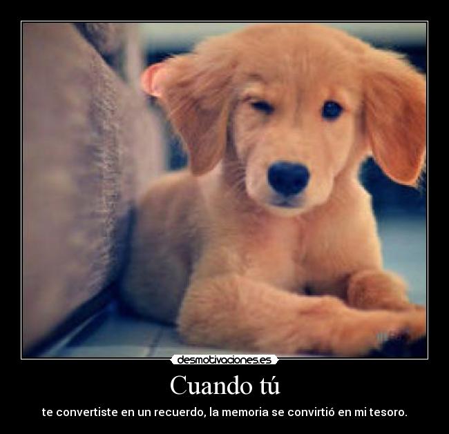 Cuando tú - te convertiste en un recuerdo, la memoria se convirtió en mi tesoro.