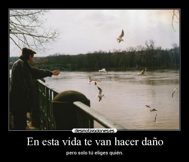 En esta vida te van hacer daño - pero solo tú eliges quién.