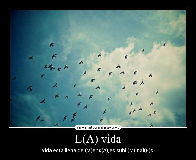 L(A) vida - 