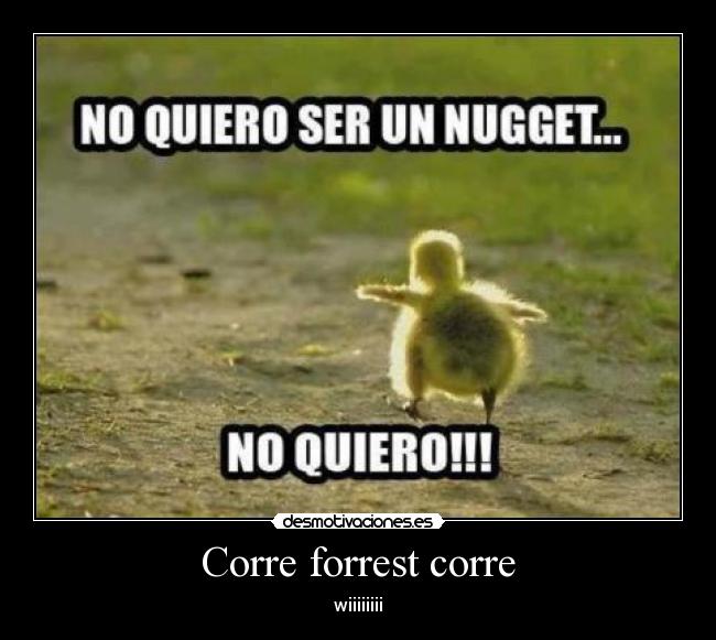 Corre forrest corre - wiiiiiiii