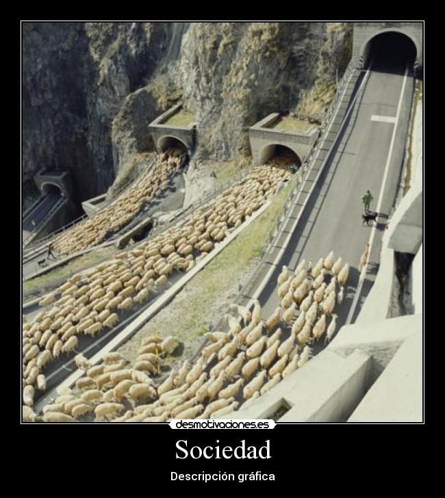 Sociedad - Descripción gráfica