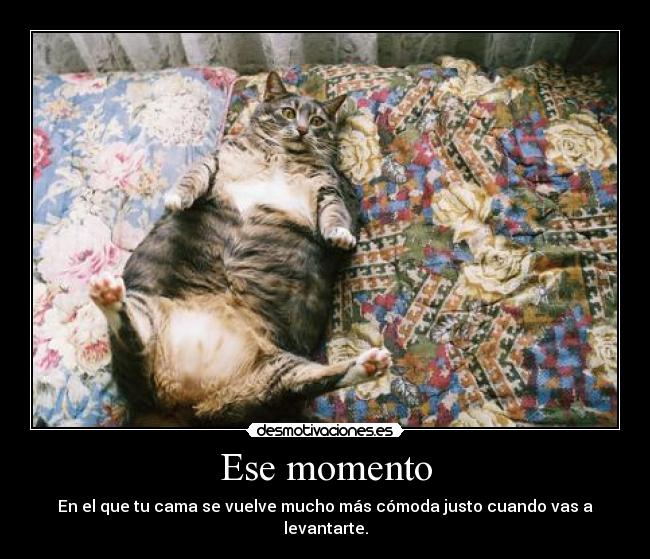 Ese momento -