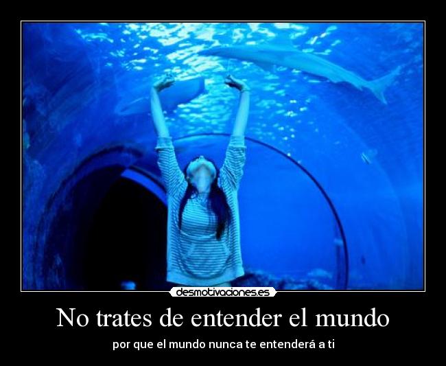 No trates de entender el mundo -