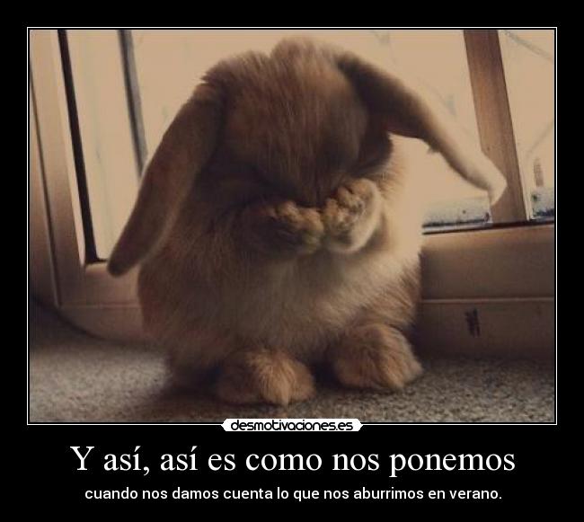 Y así, así es como nos ponemos -