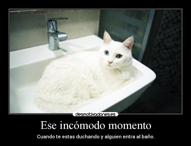 Ese incómodo momento - 