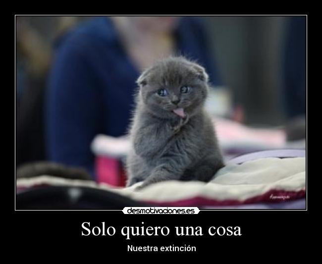 Solo quiero una cosa - Nuestra extinción