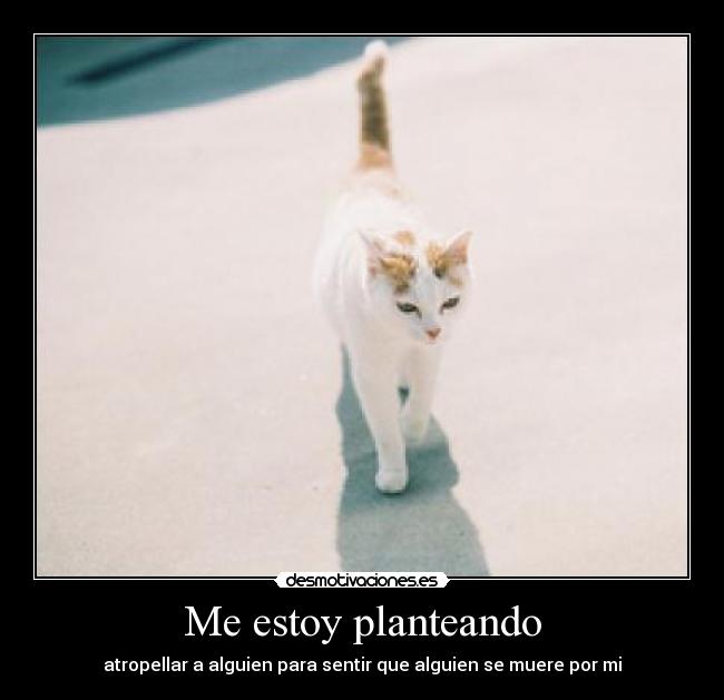 Me estoy planteando - atropellar a alguien para sentir que alguien se muere por mi