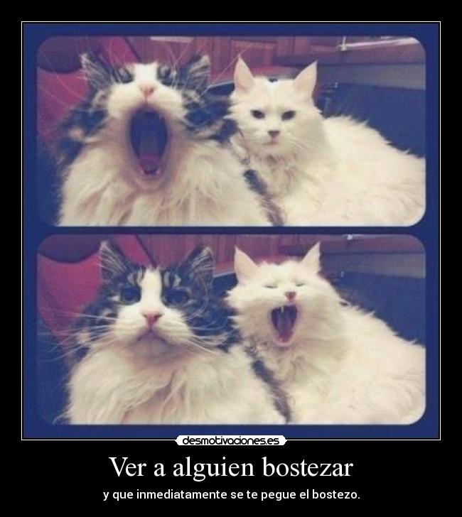 Ver a alguien bostezar -