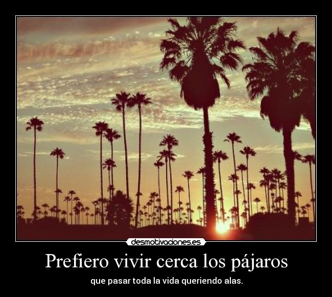 Prefiero vivir cerca los pájaros - que pasar toda la vida queriendo alas.
