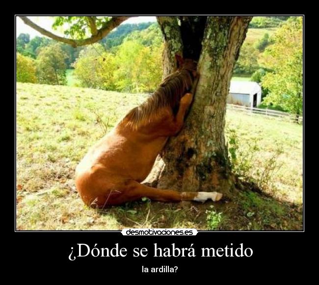 ¿Dónde se habrá metido -