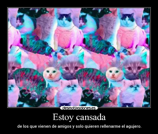 carteles csasd nomiresaqui imperiodesplazado clandesplazado meowmeow 7del7 desmotivaciones