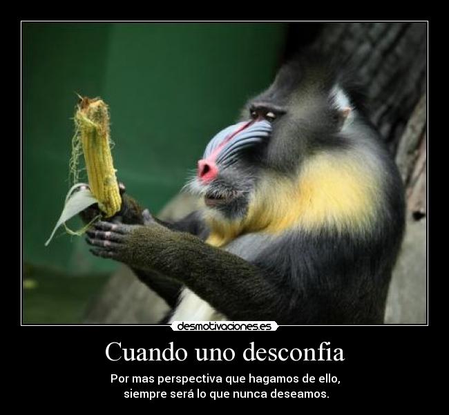 Cuando uno desconfia - Por mas perspectiva que hagamos de ello,
siempre será lo que nunca deseamos.