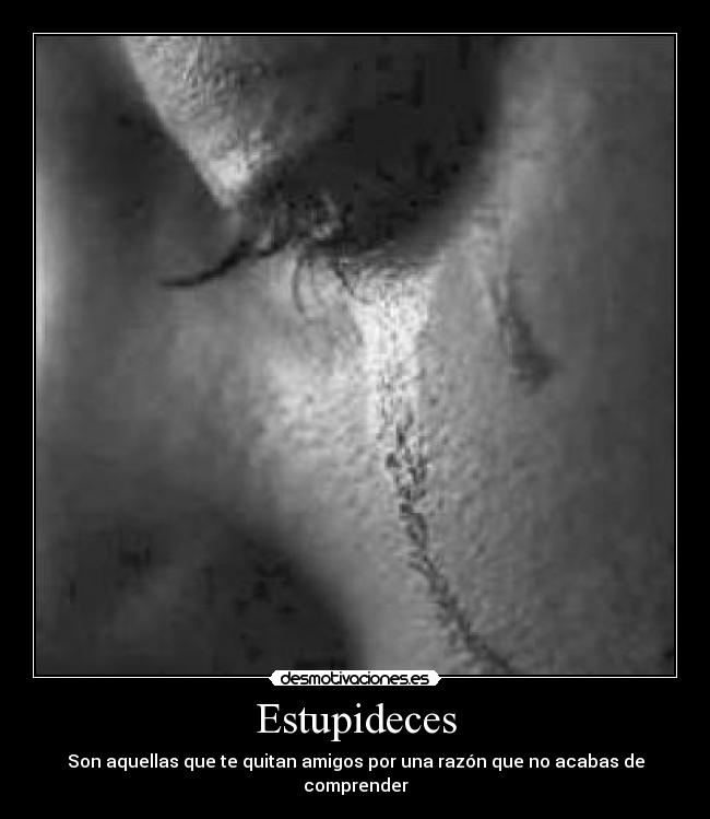 Estupideces -