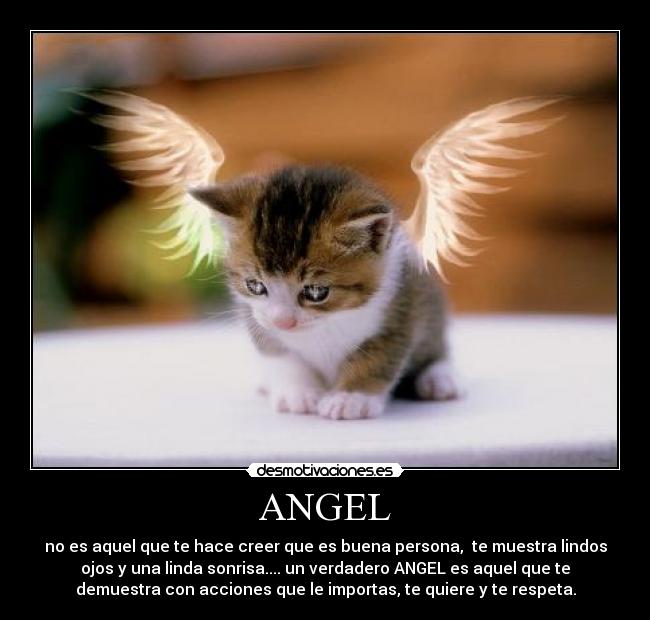 ANGEL - 