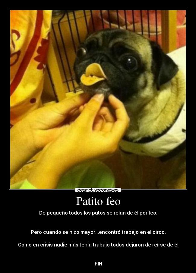 Patito feo - 