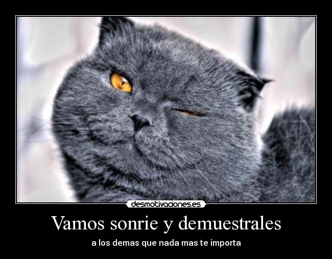 Vamos sonrie y demuestrales - a los demas que nada mas te importa
