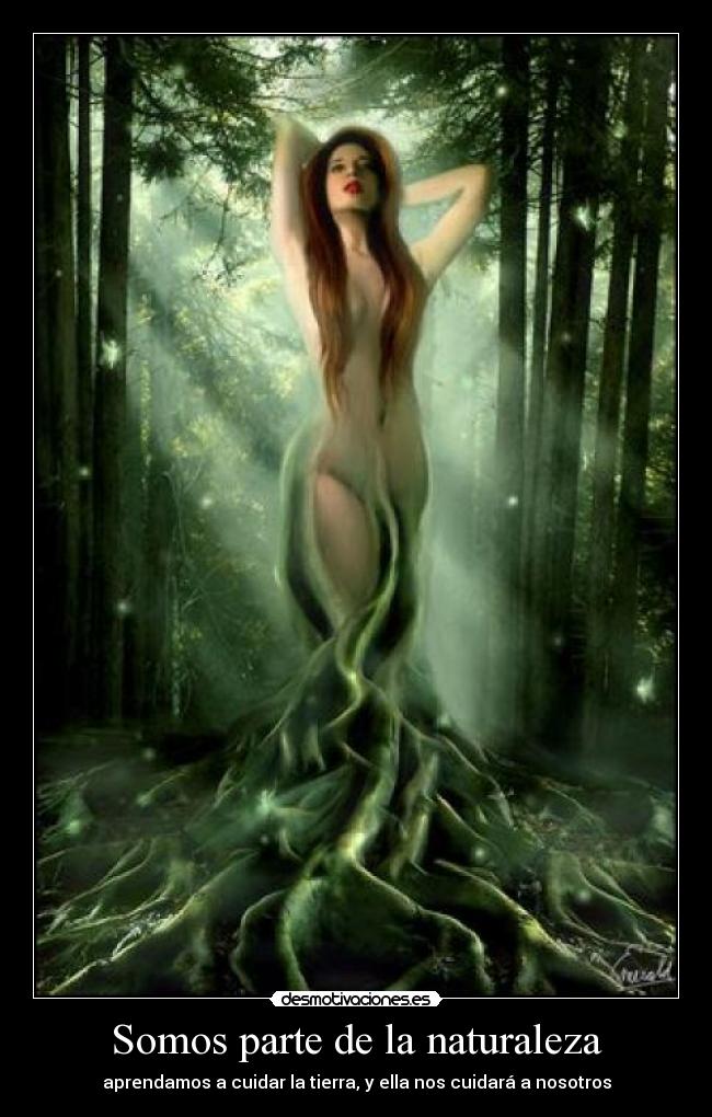 carteles naturaleza madre tierra desmotivaciones