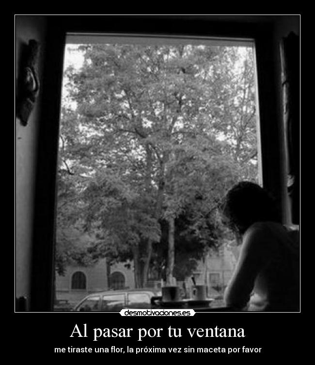 Al pasar por tu ventana - me tiraste una flor, la próxima vez sin maceta por favor
