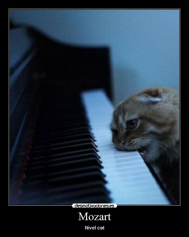 Mozart - Nivel cat