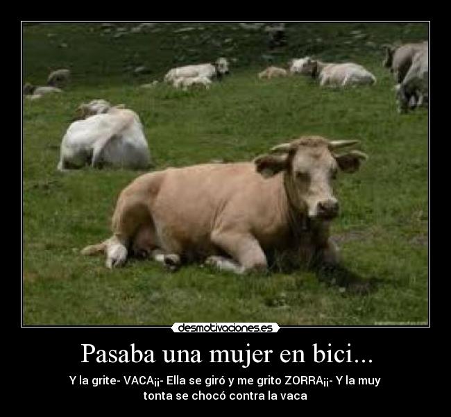 Pasaba una mujer en bici... - Y la grite- VACA¡¡- Ella se giró y me grito ZORRA¡¡- Y la muy
tonta se chocó contra la vaca